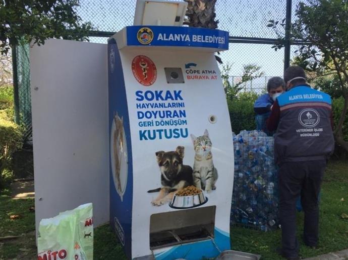 Sokak Hayvanlari N Yen Beslenme N Tes Olu Turuldu Son Dakika