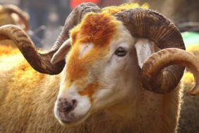 2018 Kurban Bayramı ne zaman, Kurban Bayramı'nın önemi ?