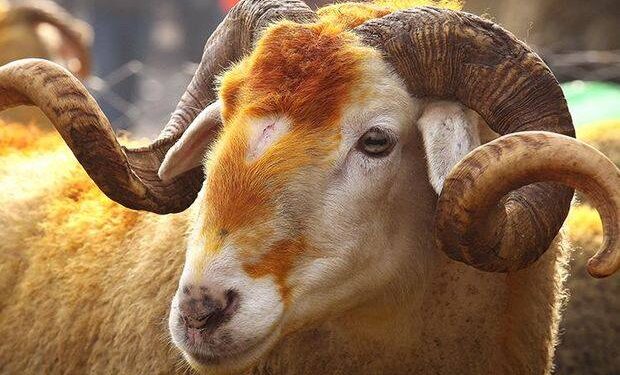 2018 Kurban Bayramı ne zaman, Kurban Bayramı’nın önemi ?