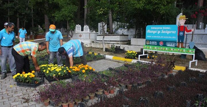 ALANYA BELEDİYESİ 21 MEZARLIKTA ÇİÇEK DAĞITACAK