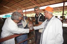 ALANYA BELEDİYESİ’NİN BELİRLEDİĞİ 4 NOKTADA KURBANLIK SATIŞI BAŞLADI