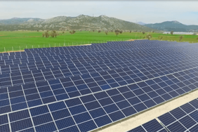 Çiftçi dostu Türel her zaman üreticinin yanında