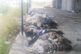 deri_ler_kokmaya_basladi