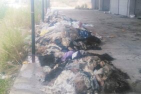 deri_leri_kokuttular