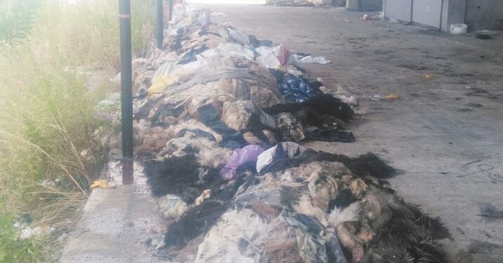  Kokan derilere tepki yağdı