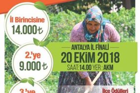 En renkli yarışma başlıyor! Toprağın sultanları yarışıyor