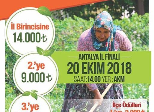 En renkli yarışma başlıyor! Toprağın sultanları yarışıyor