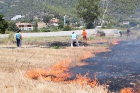 Gazipaşa'da çıkan yangın yerleşim yerlerine sıçramadan söndürüldü