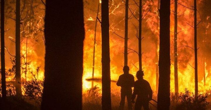 Gündoğmuş’ta orman yangını çıktı.