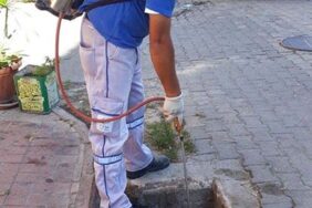 Kurban Bayramı öncesi ilaçlamalar başladı