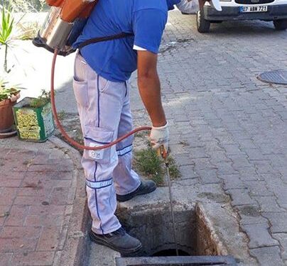 Kurban Bayramı öncesi ilaçlamalar başladı