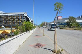 Türkler’deki turistik caddelere fidan