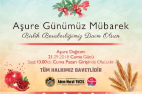 42241119_1860668700694960_2347933572750376960_o