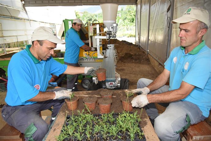 ALANYA BELEDİYESİ, KENDİ BİTKİSİNİ ÜRETEN SAYILI BELEDİYELER ARASINA GİRDİ