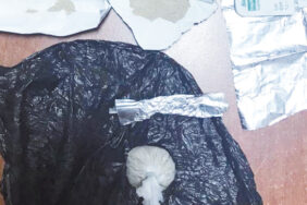 jandarma_uyusturucuya_dur_dedi