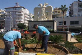 KIŞLIK ÇİÇEKLER YEŞİL ALANLARI SÜSLEMEYE BAŞLADI