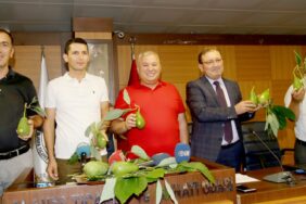 sahin_alanya_avokadosunu_tescilledik