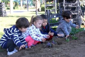 KELEBEK SINIFI KENDİ ÇİÇEKLERİNİ DİKTİ