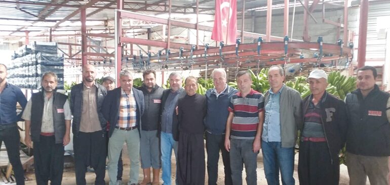 Sönmez harıl harıl