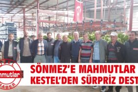 sonmez_dip_ten_geliyor
