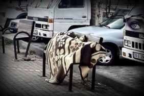 ALANYA BELEDİYESİ EVSİZLERE EL UZATIYOR