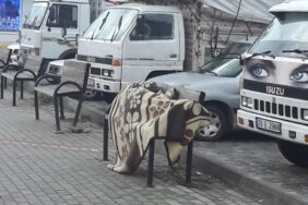 vicdanları_titreten_goruntu