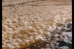 766F4086-8450-4FB3-96DB-074E648681EC