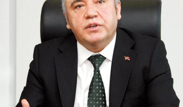 Böcek hafta sonu aramızda