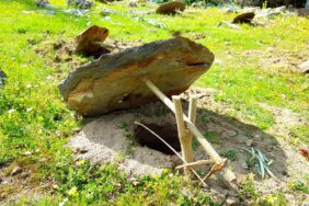 52590117_2502770119796055_3097094302895964160_n