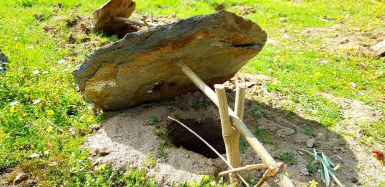 Şok.. Mezar taşları’ndan kuş kapanı!