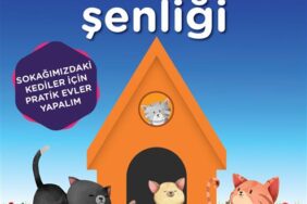 KEDİ EVİ ŞENLİĞİ