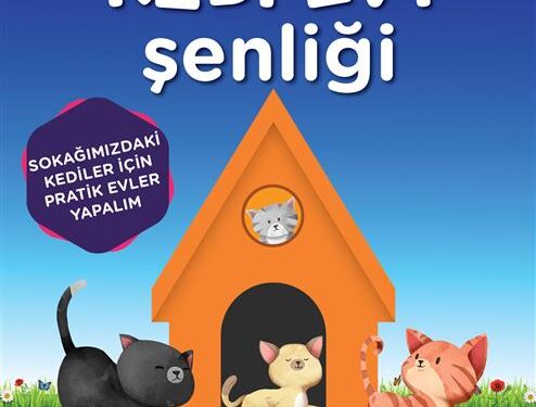 KEDİ EVİ ŞENLİĞİ