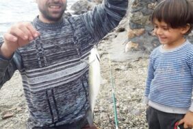 kargicak_ta_inanilmaz_olum_