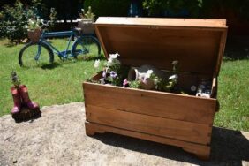 EN GÜZEL BALKON-BAHÇE YARIŞMASI İÇİN BAŞVURULAR BAŞLIYOR