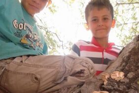 0387bbc0-13c8-48d0-920f-cbb1be04fed9