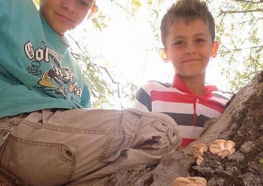 Mahmutlar’da kaza 1’i ağır 2 yaralı