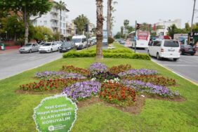 10a38c37-f9e4-4ca2-a660-5c115f79d738