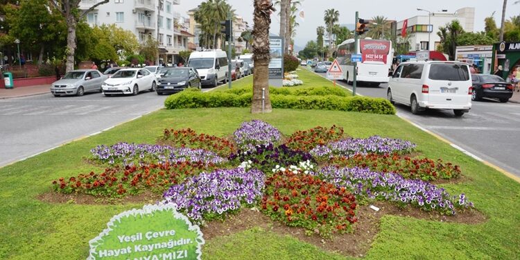 Büyükşehirden Alanya’ya 300 bin çiçek