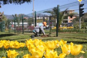 ORTA REFÜJLERDE RENK CÜMBÜŞÜ