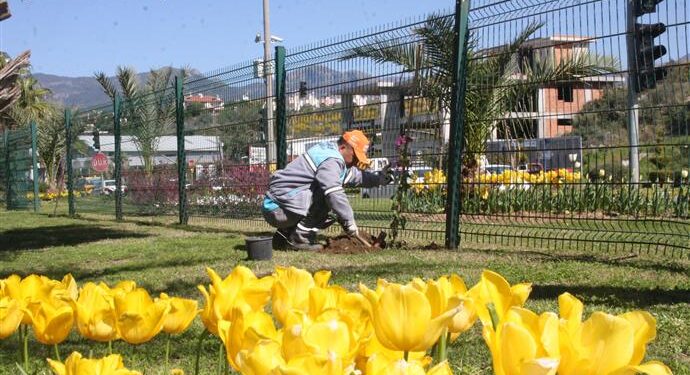 ORTA REFÜJLERDE RENK CÜMBÜŞÜ