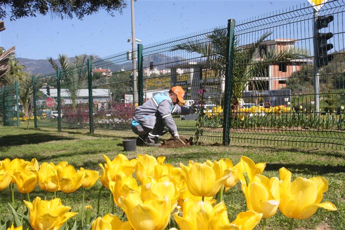 ORTA REFÜJLERDE RENK CÜMBÜŞÜ