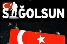 480AAC31-EBE9-4A2C-BDA3-4B18A7888ED3