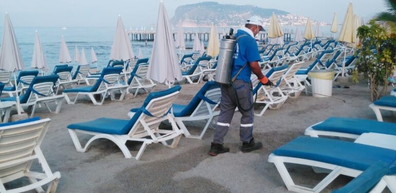 Böcek gece gündüz demeden çalışıyor