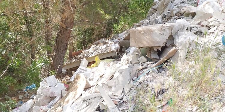 Çöplük hortladı!