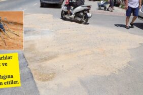 sivrisinek_sikayeti_