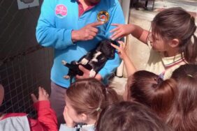 ÇOCUKLAR HAYVAN SEVGİSİNİ ALANYA BELEDİYESİ İLE ÖĞRENİYOR