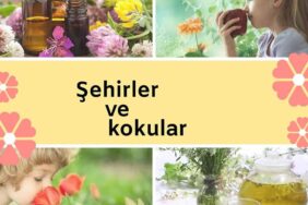 65075408_1166634303520257_9161749083042349056_n