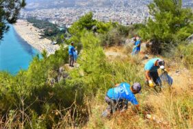 ALANYA DÖRT BİR YANDAN TEMİZLENİYOR