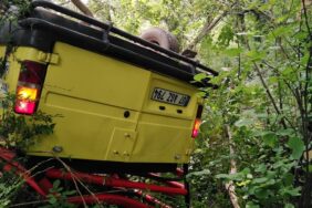 67710994_2962765003740690_1427305486016839680_n