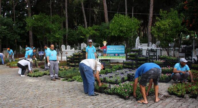 ALANYA BELEDİYESİ 21 MEZARLIKTA 55 BİN ÇİÇEK DAĞITACAK